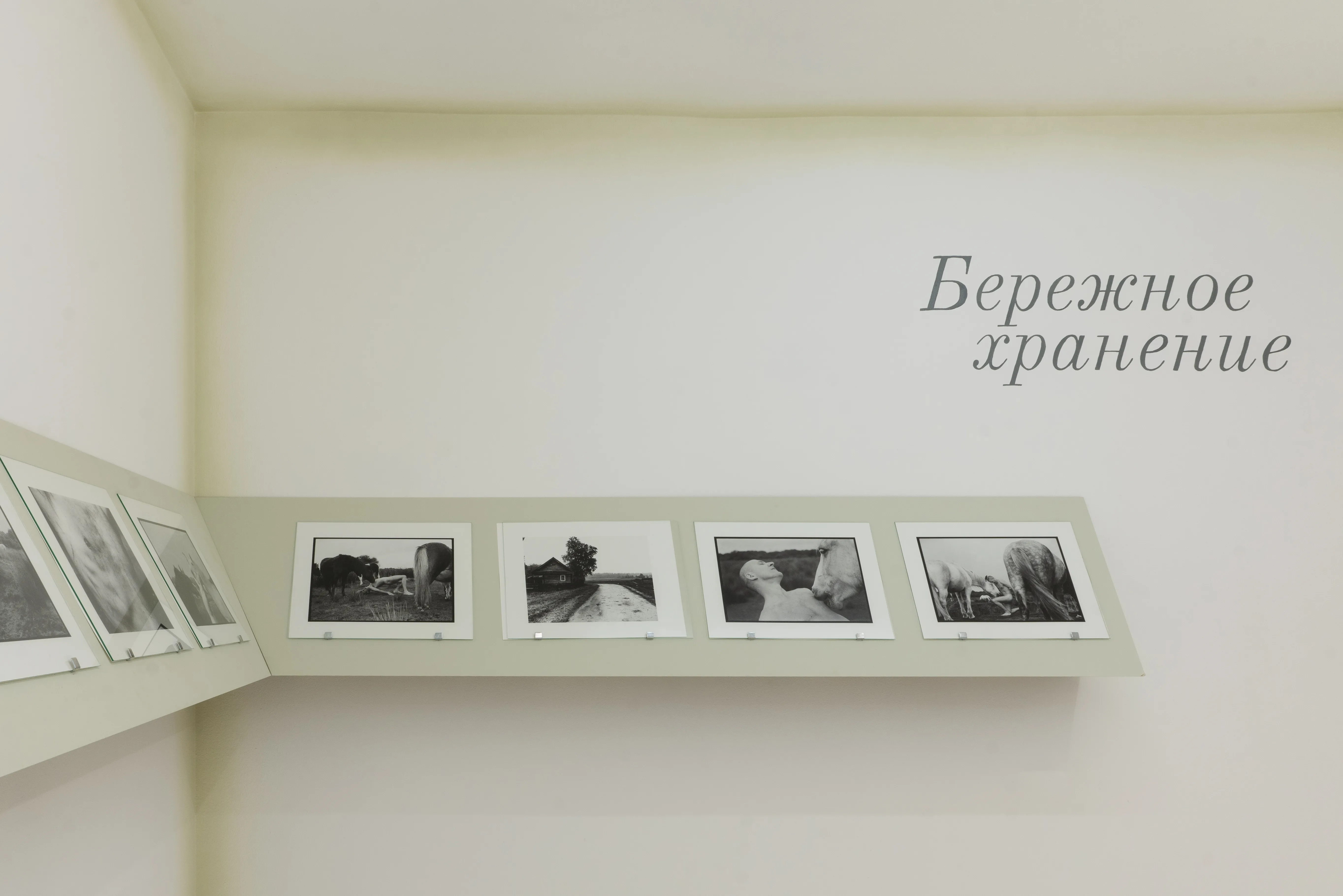 Групповая выставка. «Бережное хранение» - выставка ТЕO by Cosmoscow