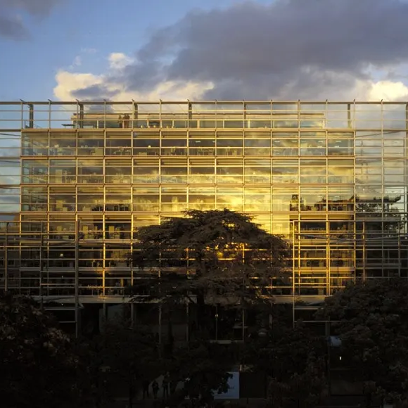 Фонд Картье