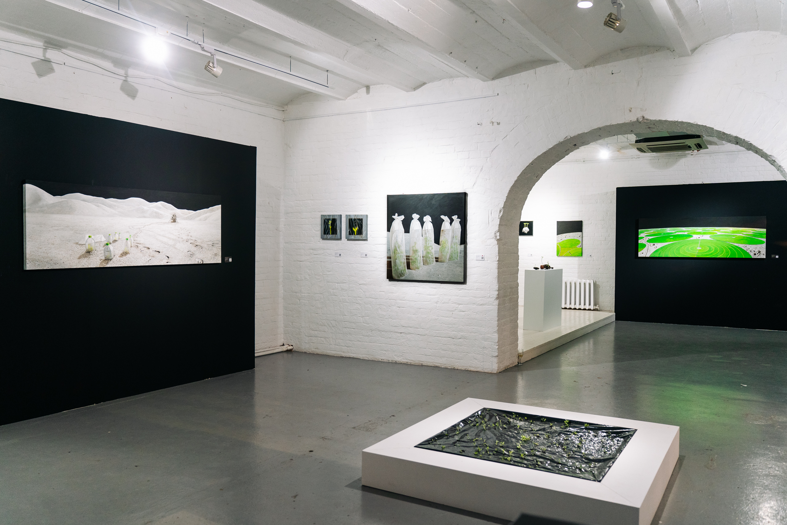 Персональная выставка Виктора Пономаренко «Зелёное утро» - выставка ТЕO by Cosmoscow