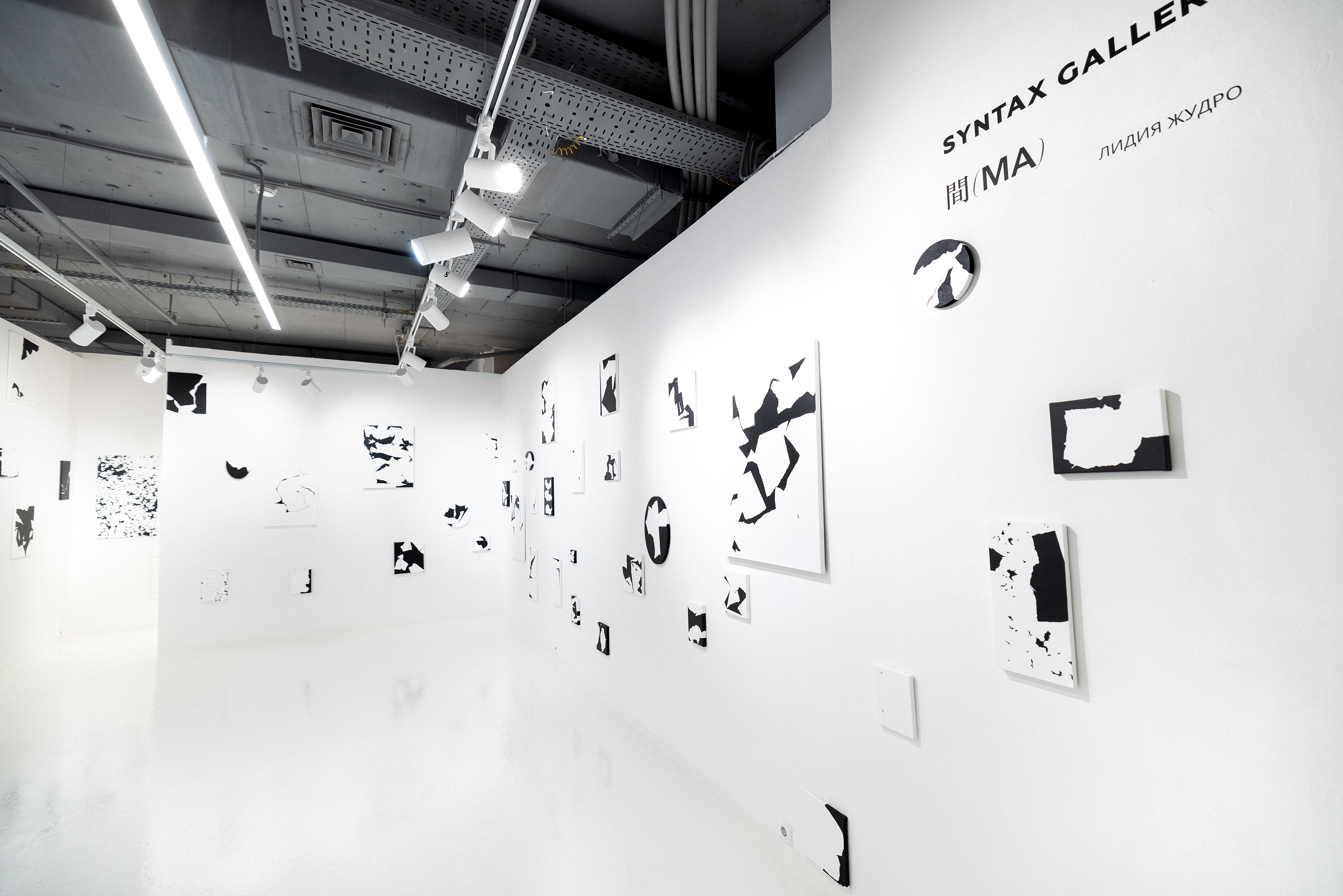 Лидия Жудро. 間 (МА) - выставка ТЕO by Cosmoscow