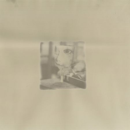 Без названия