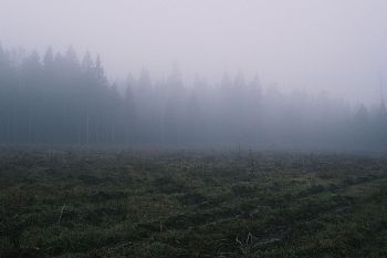 Из серии "The liminal space"