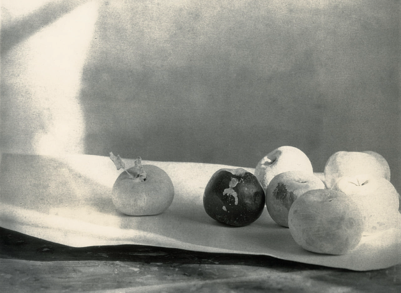 Ускользающая красота