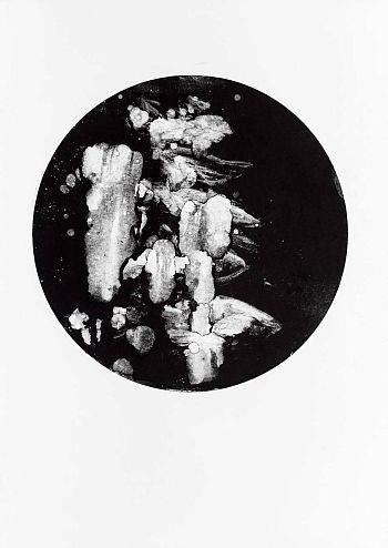 Без названия