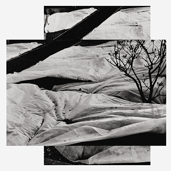 ПОКРЫТАЯ ЗЕМЛЯ DUO 03