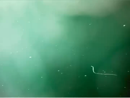 UB12. The Urban Rainbow