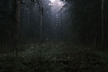 Из серии "The liminal space"