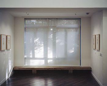 View with screen from series Being Present