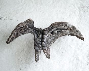 Untitled, from «les temps sombres» series