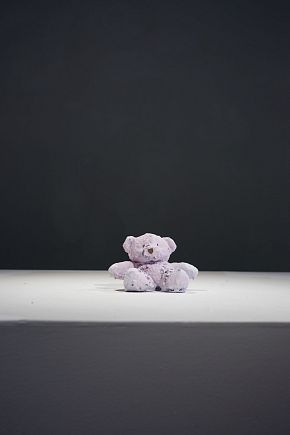 Teddy №47