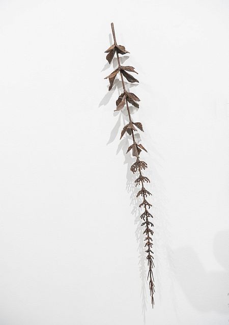 Из серии «Зимний гербарий»