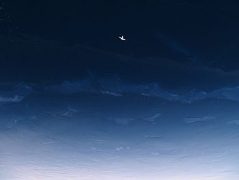 Птица в ледяном небе окна