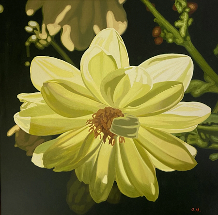 «Сияние» из серии «Цветы»