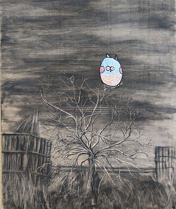 Night owl