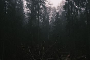 Из серии "The liminal space"