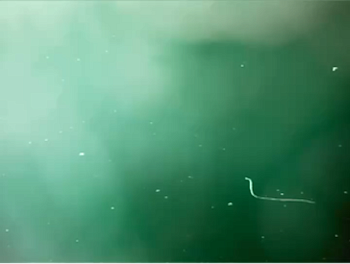 UB12. The Urban Rainbow