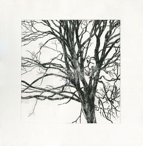 Вяз в Коньково, у поймы реки Старчонка