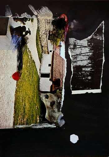 Без названия