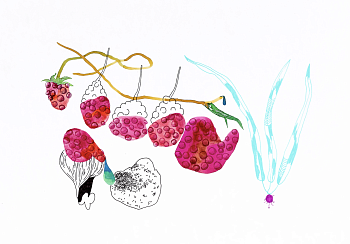 Без названия