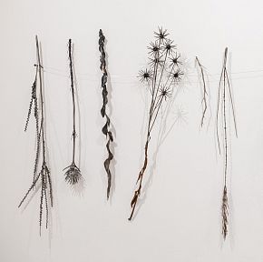 Из серии «Зимний гербарий»