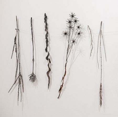 Из серии «Зимний гербарий»