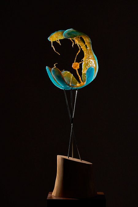 Проект планетарной туманности CAPOS(PN) 0001 в созвездии Волопас