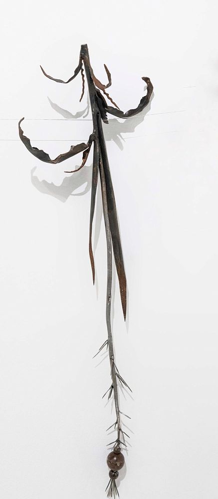 Из серии «Зимний гербарий»