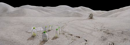 Лунный пейзаж из серии «Зеленое утро»