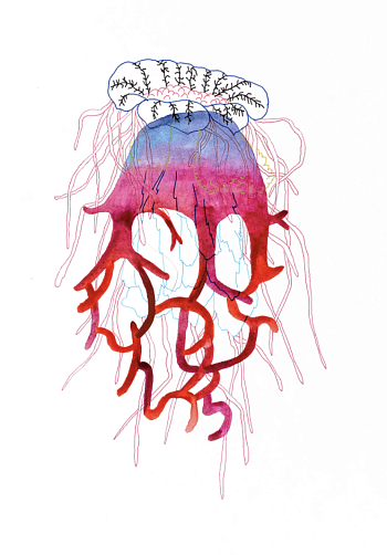 Без названия