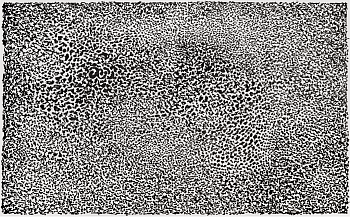 Из серии «Онтография»