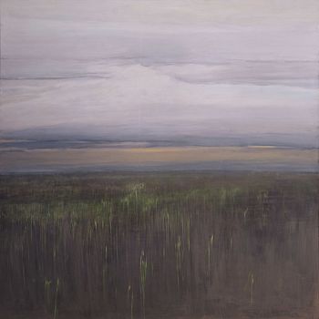 Проявления 4