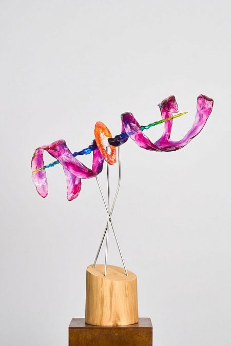 Проект планетарной туманности CAPOS(PN) 0008 «Заячья Спираль»