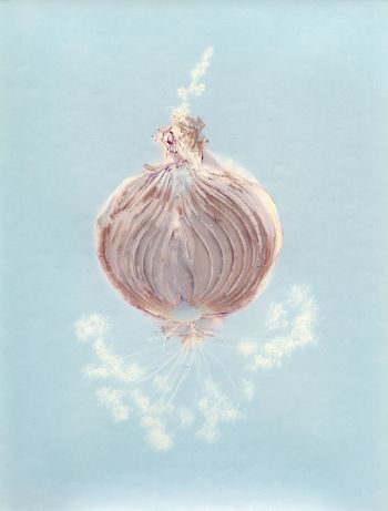 Луковицы времени 2