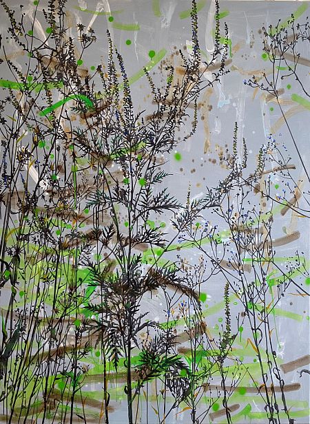 Сорные травы 5