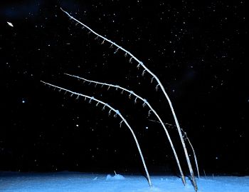 Без названия