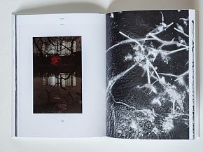 Новая семиотика реки М