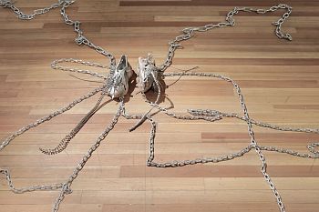 Без названия