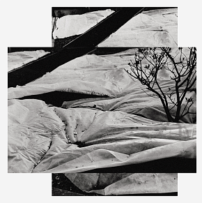 ПОКРЫТАЯ ЗЕМЛЯ DUO 03