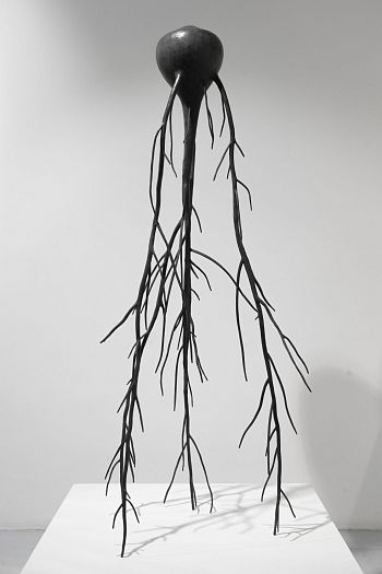 Black soil