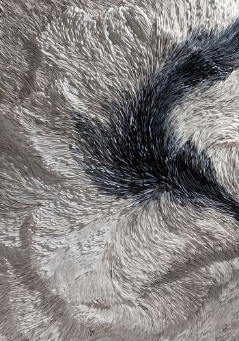 Пепельный свет