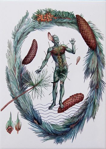 Без названия