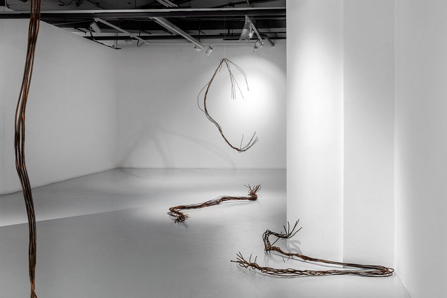 «Абзац»: тотальная инсталляция Ани Жёлудь