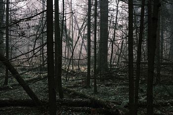 Из серии "The liminal space"