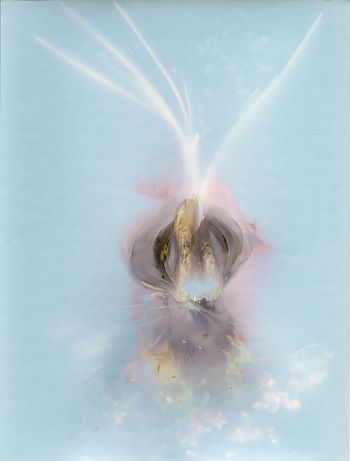 Луковицы времени 1